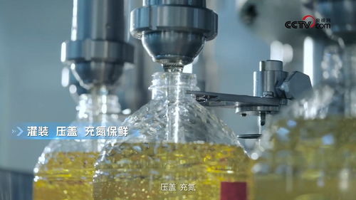 央視網(wǎng)探訪多力安心工廠 揭秘?zé)嵯駜x如何破解低油煙技術(shù)的科學(xué)專利